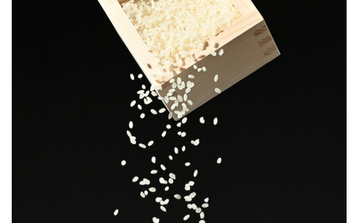えびちゃんちの米　さくら市葛城産　5Kg　≪令和5年産 米 お米 白米 ご飯 栃木県産 送料無料≫