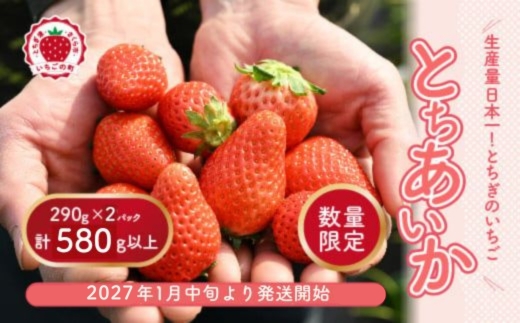 【先行予約】いちご 厳選！さくら市産 とちあいか（290g×2パック） ※2027年1月～発送