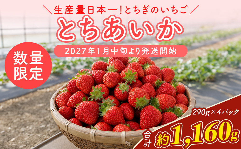 【先行予約】いちご 厳選！さくら市産 とちあいか（290g×4パック） ※2027年1月～発送