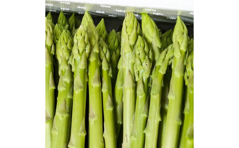 うえの農園のアスパラキャンディ 30g×2袋 | 飴 あめ キャンディー 国産 栃木県産 アスパラ アスパラガス 食品