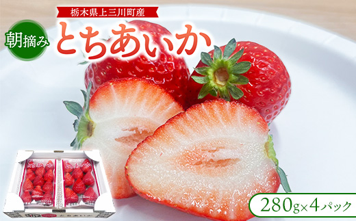 朝摘み『とちあいか』 栃木のイチゴ　大粒　280g以上×4P ｜ いちご イチゴ 苺 栃木県 果物 フルーツ 甘い 酸味 さっぱり 完熟　※離島への配送不可　※2026年1月上旬～4月中旬頃に順次発送予定