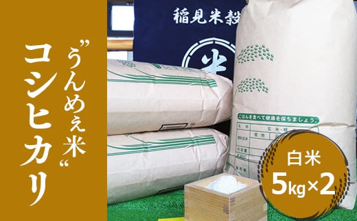 [令和6年度産] 栃木県上三川町産コシヒカリ・白米 (5kg×2袋) ◇ | 国産 栃木県産 コシヒカリ 米 お米 単一原料米 精米 白米 栃木米 とちぎ米 産地直送 送料無料