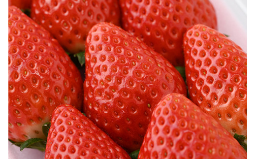 ＜先行予約＞ 【スカイベリー ミルキーベリー】鬼怒川の恵みをたっぷり受けた　栃木県上三川（かみのかわ）町産　紅白イチゴセット【紅白各1パック】 いちご イチゴ 苺 白いちご 紅白いちご ※2026年1月中旬〜3月中旬頃に順次発送 ※離島への配送不可