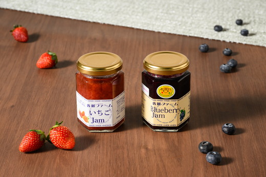 ãã«ãŒããªãŒãã€ããŽã®ãžã£ã ã詊ã2æ¬ã»ãããâ»é¢å³¶ãžã®é
éäžå¯