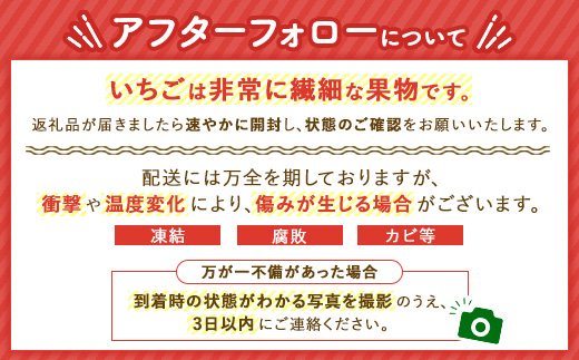 ＜先行予約＞ 鬼怒川の恵みをたっぷり受けた 栃木県上三川（かみのかわ）町産 スカイベリー【2パック】 いちご イチゴ 苺 スカイベリー ※2026年1月中旬～3月中旬頃に順次発送予定 ※離島への配送不可