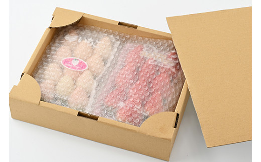 ＜先行予約＞ 【スカイベリー ミルキーベリー】鬼怒川の恵みをたっぷり受けた　栃木県上三川（かみのかわ）町産　紅白イチゴセット【紅白各1パック】 いちご イチゴ 苺 白いちご 紅白いちご ※2026年1月中旬〜3月中旬頃に順次発送 ※離島への配送不可