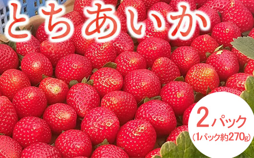 ＜先行予約＞ 鬼怒川の恵みをたっぷり受けた 栃木県上三川（かみのかわ）町産 とちあいか【2パック】 いちご イチゴ 苺 とちあいか ※2026年1月中旬～3月下旬頃に順次発送予定 ※離島への配送不可