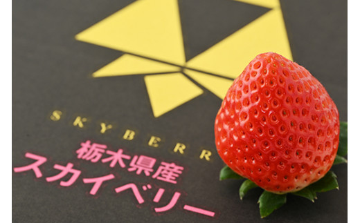 ＜先行予約＞ 鬼怒川の恵みをたっぷり受けた 栃木県上三川（かみのかわ）町産 スカイベリー【2パック】 いちご イチゴ 苺 スカイベリー ※2026年1月中旬～3月中旬頃に順次発送予定 ※離島への配送不可