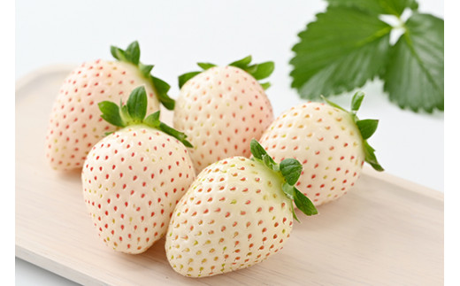 ＜先行予約＞ 鬼怒川の恵みをたっぷり受けた　栃木県上三川（かみのかわ）町産 ミルキーベリー（白いちご）【2パック】 いちご イチゴ 苺 白いちご 白イチゴ 白苺 ミルキーベリー ※2026年1月中旬～3月中旬頃に順次発送予定 ※離島への配送不可