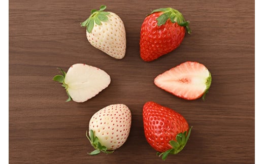 ＜先行予約＞ 【スカイベリー ミルキーベリー】鬼怒川の恵みをたっぷり受けた　栃木県上三川（かみのかわ）町産　紅白イチゴセット【紅白各1パック】 いちご イチゴ 苺 白いちご 紅白いちご ※2026年1月中旬〜3月中旬頃に順次発送 ※離島への配送不可