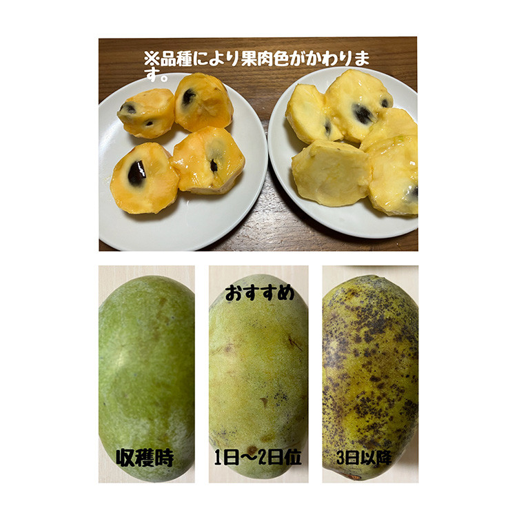 ãå
è¡äºçŽããµãããšçŽçšã¯ãããŸããŠïŒãããŒïŒ1kgå
¥ïŒ3åãã4åå
¥ïŒ â»åæµ·éã»æ²çžã»é¢å³¶ãžã®é
éäžå¯ â»2026幎8æäžæ¬ïœ9æäžæ¬é ã«é 次çºéäºå®