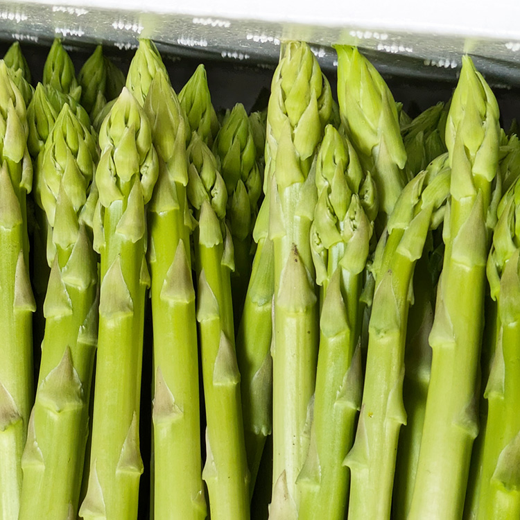 うえの農園の朝採りグリーンアスパラガス Lサイズ 1kg | 国産 栃木県産アスパラガス ※2025年6月より順次発送予定 ※離島への配送不可