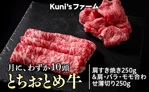 とちおとめ牛　肩すき焼き250g＆肩・バラ・モモ合わせ薄切り250gセット｜牛肉 すき焼き すきやき