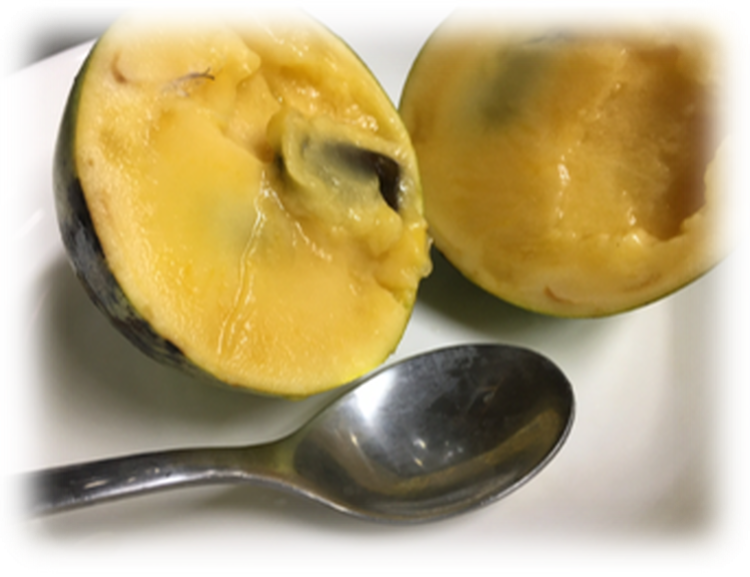 ãå
è¡äºçŽããµãããšçŽçšã¯ãããŸããŠïŒãããŒïŒ1kgå
¥ïŒ3åãã4åå
¥ïŒ â»åæµ·éã»æ²çžã»é¢å³¶ãžã®é
éäžå¯ â»2026幎8æäžæ¬ïœ9æäžæ¬é ã«é 次çºéäºå®