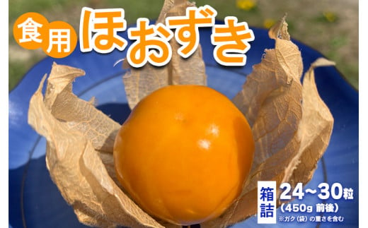 食用ほおずき　箱詰（24粒〜30粒／450g前後／ガク(袋)の重さを含む）※〜2023年6月下旬頃に順次発送予定