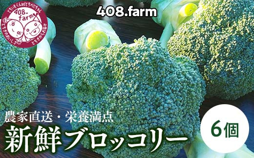 農家直送・栄養満点☆新鮮ブロッコリー！　※2024年11月中旬頃～順次発送予定