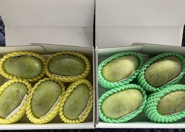 ãå
è¡äºçŽããµãããšçŽçšã¯ãããŸããŠïŒãããŒïŒ1kgå
¥ïŒ3åãã4åå
¥ïŒ â»åæµ·éã»æ²çžã»é¢å³¶ãžã®é
éäžå¯ â»2026幎8æäžæ¬ïœ9æäžæ¬é ã«é 次çºéäºå®