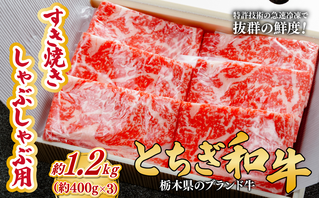 とちぎ和牛のすき焼き・しゃぶしゃぶ用 1.2kg（400g×3）【栃木県共通返礼品】 |  牛肉 肉 お肉 すき焼き しゃぶしゃぶ ロース リブロース 肩ロース 産地直送 国産 国産牛 和牛 赤身 霜降り 希少 旨味 旨み 熟成 急速冷凍 コトラミートカルチャ 栃木県 茂木町