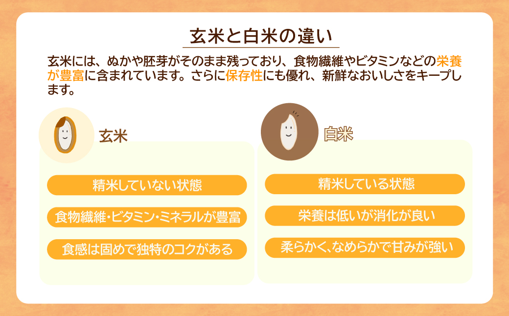 お米マイスター厳選!＜令和7年産＞茂木百騎米 精米 10kg（5kg×2袋） | コシヒカリ こしひかり おこめ 令和7年産 ライスパーラーかわかみ 栃木県 茂木町