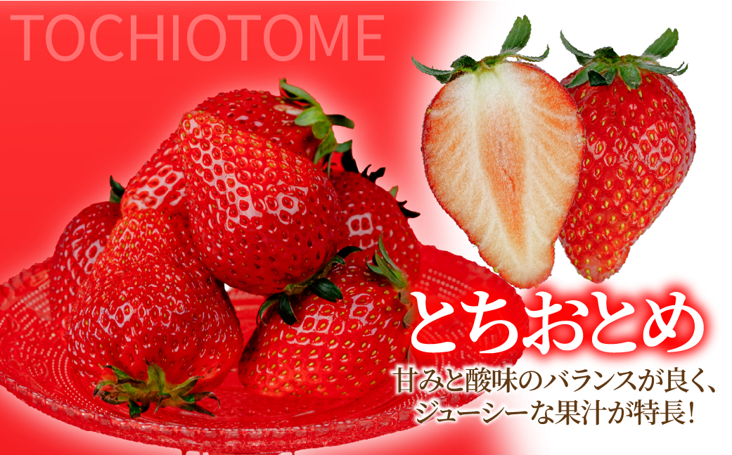 ãå
è¡åä»ïŒ2æä»¥éçºéããã¡ããèæšå®çãã¡ãããç¯ åŽãããè²ãŠã æã©ã ãšã¡ããšã ã¬ã®ã¥ã©ãŒãµã€ãº çŽ270g à 2ãã㯠åèš çŽ540g | ãã¡ã ã€ããŽ èº ãšã¡ããšã å®ç æç© ãã«ãŒã çã ããŸã ãã ãã® æ¬ ç£å°çŽé æ æšçç£ ç¯ åŽãã¡ãå æ æšç èæšçº