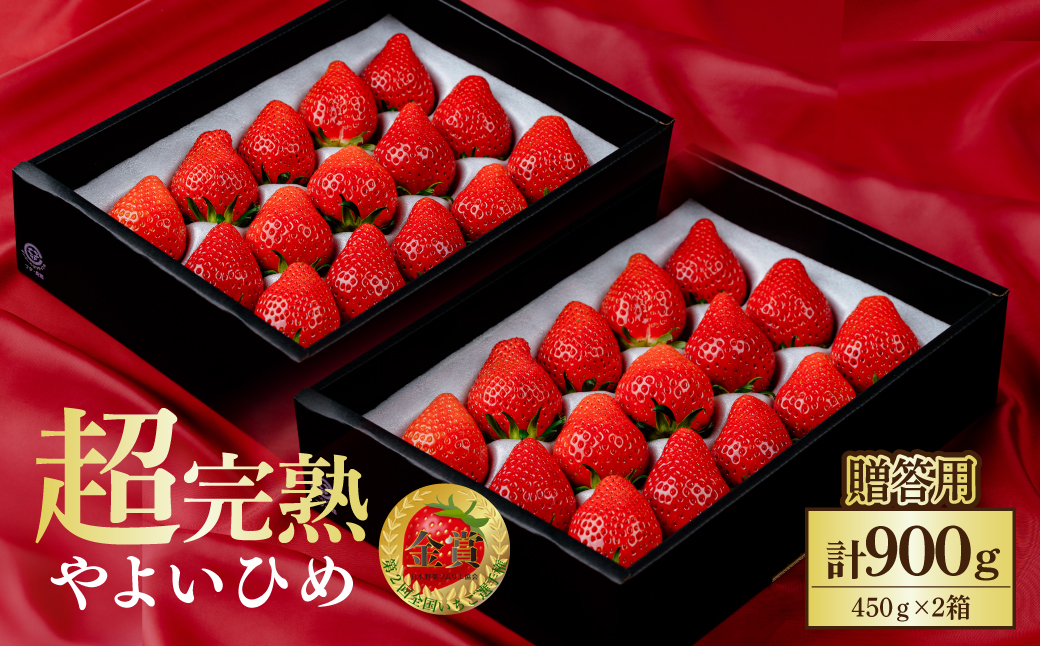 【先行受付：2月以降発送】いちご 鈴木ファームの朝摘み やよいひめ ギフトセット900g(450g×2箱) | いちご イチゴ 苺 とちあいか とちおとめ 完熟 甘い あまい 果物 フルーツ 鈴木ファーム 栃木県 茂木町