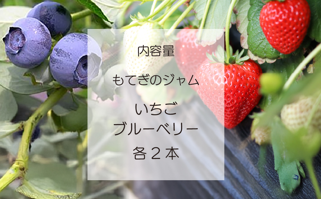 èæšç£æå®100ïŒ
䜿çšïŒ ã€ããŽïŒãã«ãŒããªãŒãžã£ã 160gÃ4æ¬ ä¿åæã»çè²æã»éŠæäžäœ¿çš | ãã¡ã ã€ããŽ èº ãã«ãŒããªãŒ æå® ãã«ãŒã æäœã æè æé£ ããŒã¹ã ãã³ ãšãŒã°ã«ã è©°ãåãã ä¿åæ çè²æ äžäœ¿çš ãããã çŸå³ãã èæšç£ ããŠããã©ã¶ æ æšç èæšçº