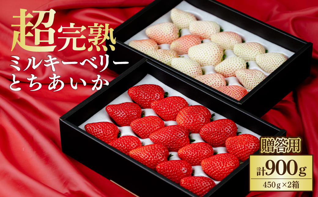 【先行受付：2月以降発送】鈴木ファームの完熟＆朝摘み とちあいか ＆ ミルキーベリー ギフト 900g (450g× 2箱) | いちご イチゴ 苺 とちあいか ミルキーベリー 完熟 甘い あまい 果物 フルーツ くだもの 旬 産地直送 栃木県産 鈴木ファーム 栃木県 茂木町