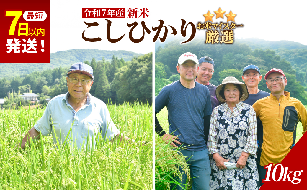 お米マイスター厳選!＜令和7年産＞茂木百騎米 精米 10kg（5kg×2袋） | コシヒカリ こしひかり おこめ 新米 令和7年産 9月発送 ライスパーラーかわかみ 栃木県 茂木町