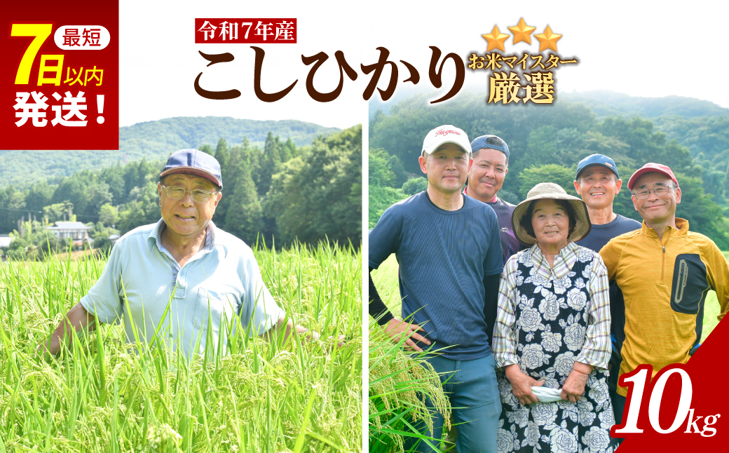 お米マイスター厳選!＜令和7年産＞茂木百騎米 精米 10kg（5kg×2袋） | コシヒカリ こしひかり おこめ 令和7年産 ライスパーラーかわかみ 栃木県 茂木町