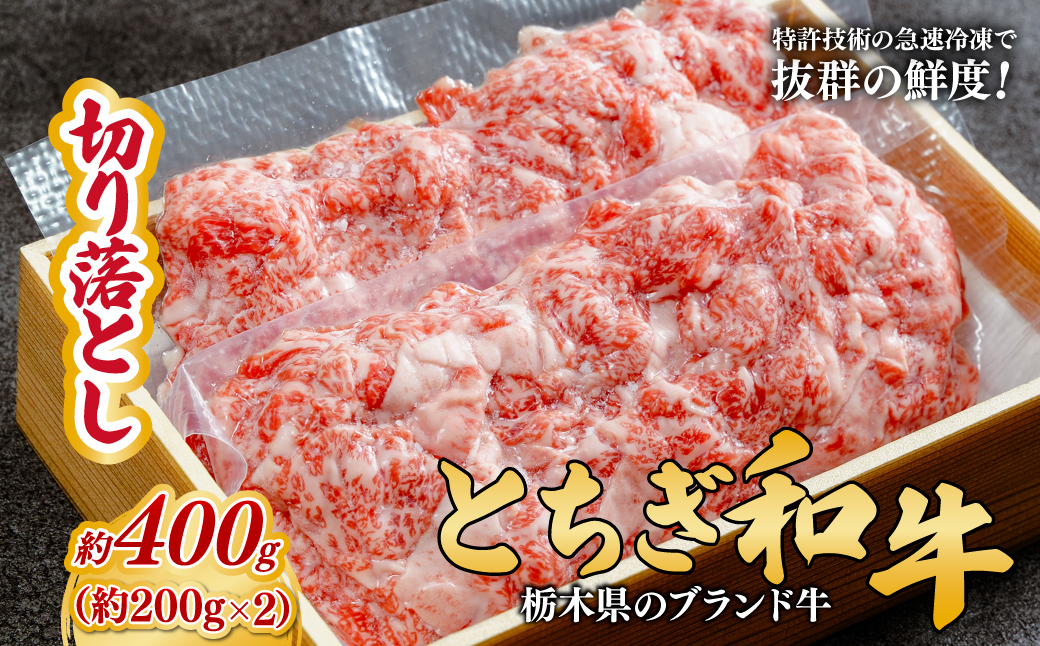 とちぎ和牛の切り落とし 400g（200g×2）【栃木県共通返礼品】 | 牛肉 肉 お肉 産地直送 国産 国産牛 牛丼 和牛 赤身 霜降り 希少 旨味 旨み 熟成 急速冷凍 テクニカン テクニカン社 スキンパック 真空パック 真空包装 コトラミートカルチャ 栃木県 茂木町