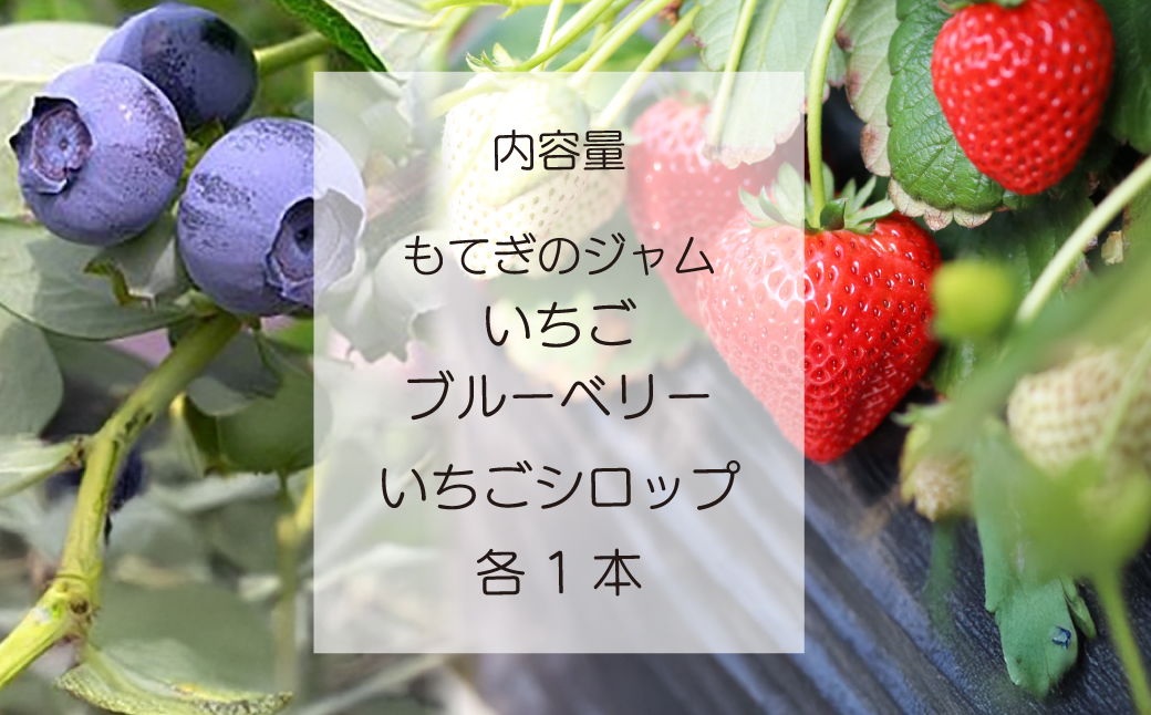 もてぎのベリー&ベリーセット | いちご イチゴ 苺 ブルーベリー 果実 フルーツ 手作り 果肉 朝食 トースト パン ヨーグルト 詰め合わせ 保存料 着色料 不使用 おいしい 美味しい 茂木産 もてぎプラザ 栃木県 茂木町