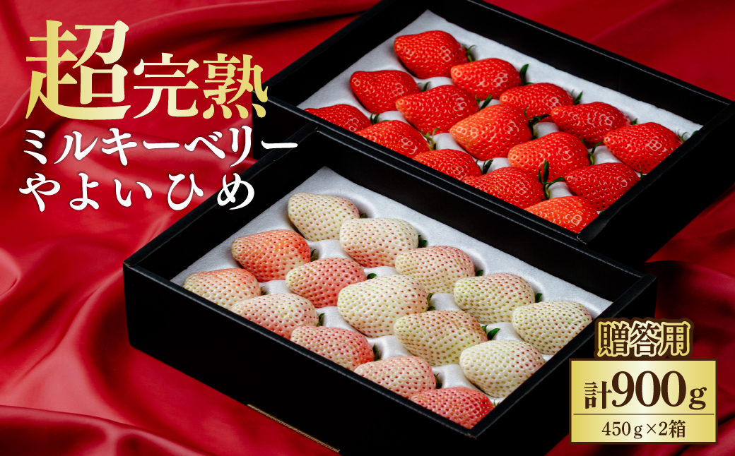 【先行受付：2月以降発送】いちご 鈴木ファーム ギフト やよいひめ×ミルキーベリー 900g (450g×2箱) | いちご イチゴ 苺 やよいひめ ミルキーベリー 完熟 甘い あまい 果物 フルーツ 鈴木ファーム 栃木県 茂木町