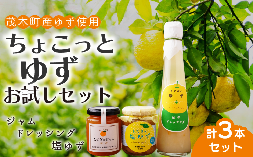 柚子のジャム＆調味料 お試しセット ジャム＆ドレッシング＆塩ゆず３本セット | ゆず 柚子 トッピング 柑橘 焼肉 タレ ドレッシング サラダ 野菜 ノンオイル ヘルシー マリネ カルパッチョ しおゆず 果実 フルーツ 手作り 果肉 朝食 トースト パン ヨーグルト 詰め合わせ 無着色 保存料 不使用 調味料 料理 調理 冷奴 冷ややっこ 浅漬け もてぎプラザ 栃木県 茂木町