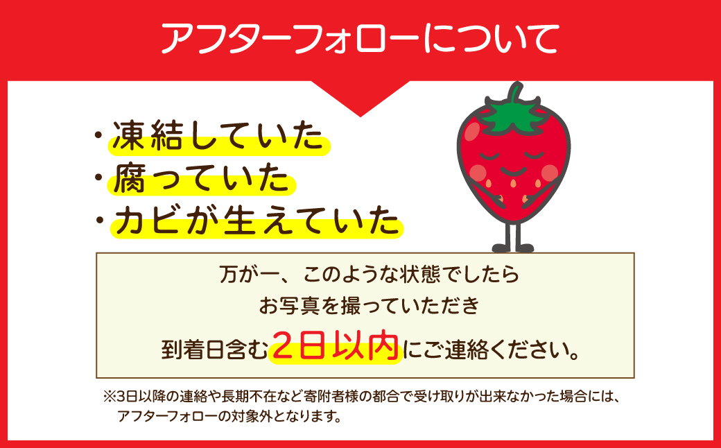 【先行受付：3月以降発送】いちご「茂木完熟いちご」師匠が育てた朝採れとちあいか 大粒  約270g × 4パック 合計約1080g | いちご イチゴ 苺 とちあいか 完熟 果物 甘い あまい フルーツ くだもの 旬 産地直送 栃木県産 関いちご園 栃木県 茂木町