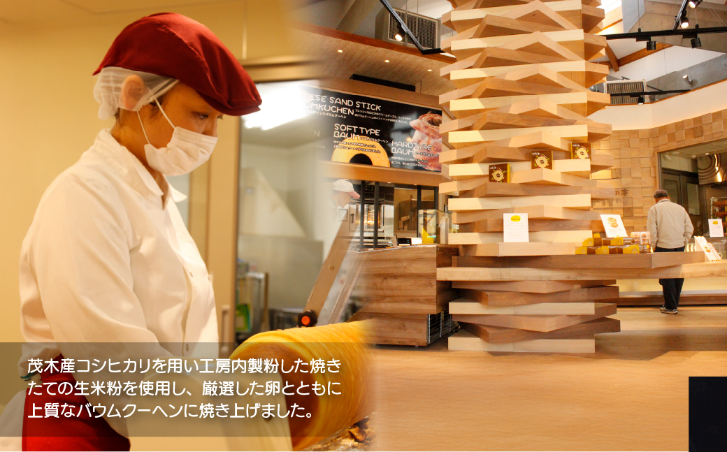 バウムクーヘン 茂木産米粉100％使用 ソフト＆ハード カットバウムセット 19個 | バウムクーヘン スイーツ 洋菓子 お菓子 ギフト 贈答用 プレゼント 箱詰め 箱入り 個包装 コシヒカリ 米粉 発酵 バター コーヒー 紅茶 道の駅 もてぎプラザ 栃木県 茂木町