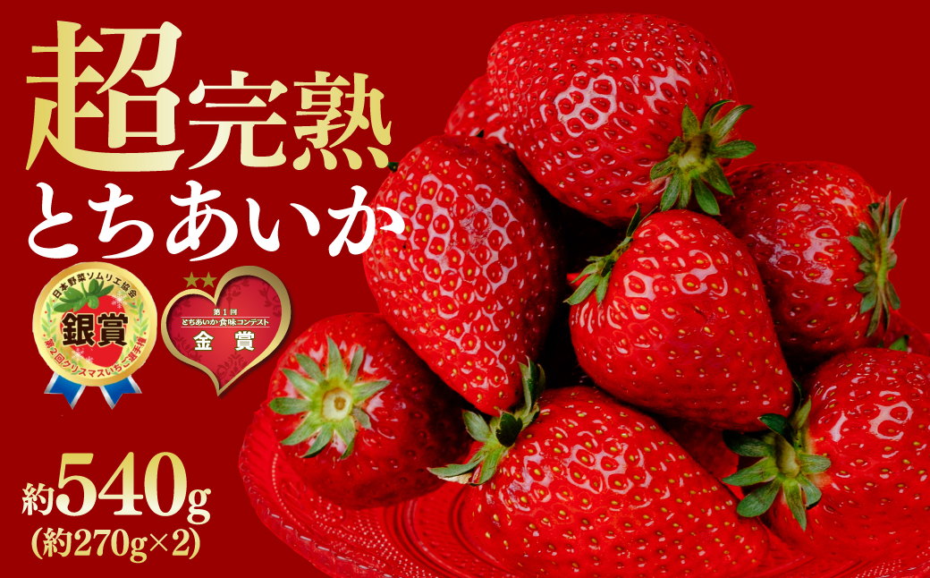 【先行受付：2月以降発送】いちご 鈴木ファームの とちあいか レギュラーサイズ 約270g × 2パック 合計 約540g | いちご イチゴ 苺 とちあいか 完熟 果物 フルーツ くだもの 旬 産地直送 栃木県産 鈴木ファーム 栃木県 茂木町