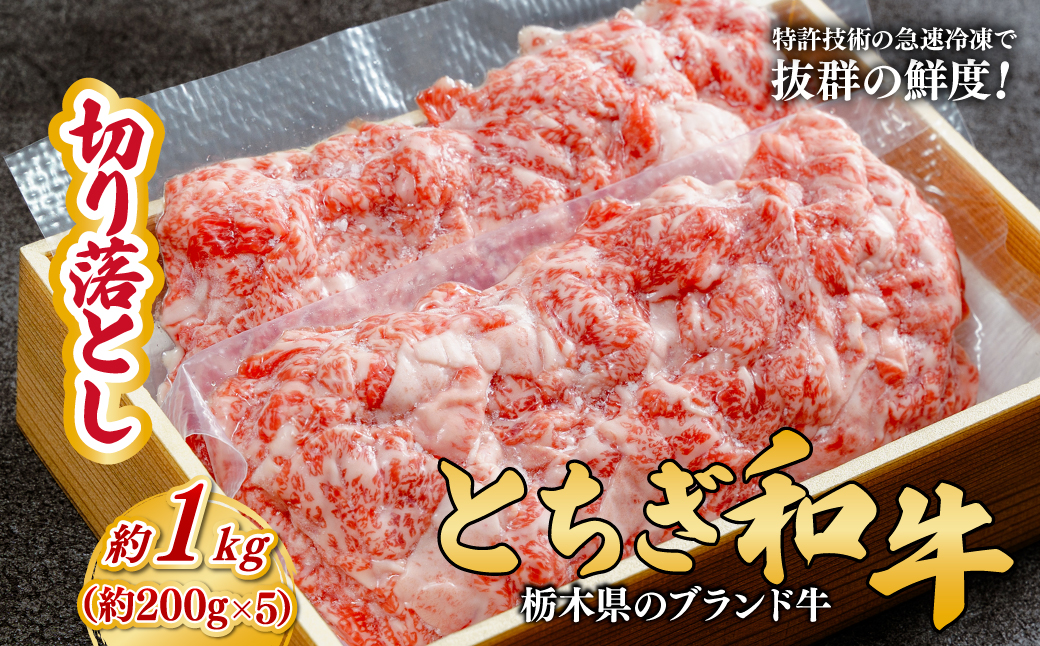 とちぎ和牛の切り落とし 1kg（200g×5）【栃木県共通返礼品】 | 牛肉 肉 お肉 産地直送 国産 国産牛 牛丼 和牛 赤身 霜降り 希少 旨味 旨み 熟成 急速冷凍 テクニカン テクニカン社 スキンパック 真空パック 真空包装 コトラミートカルチャ 栃木県 茂木町