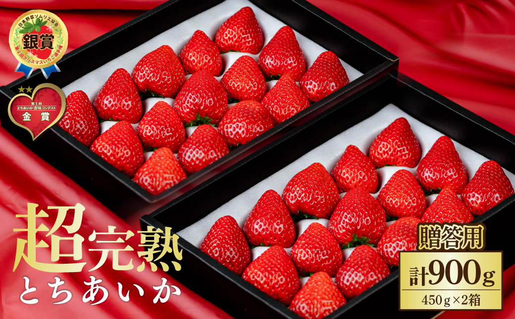 【先行受付：1月中旬以降発送】いちご 鈴木ファームの完熟＆朝どれ とちあいか ギフト900g(450g × 2箱） | いちご イチゴ 苺 とちあいか とちおとめ 完熟 甘い あまい 果物 フルーツ 鈴木ファーム 栃木県 茂木町