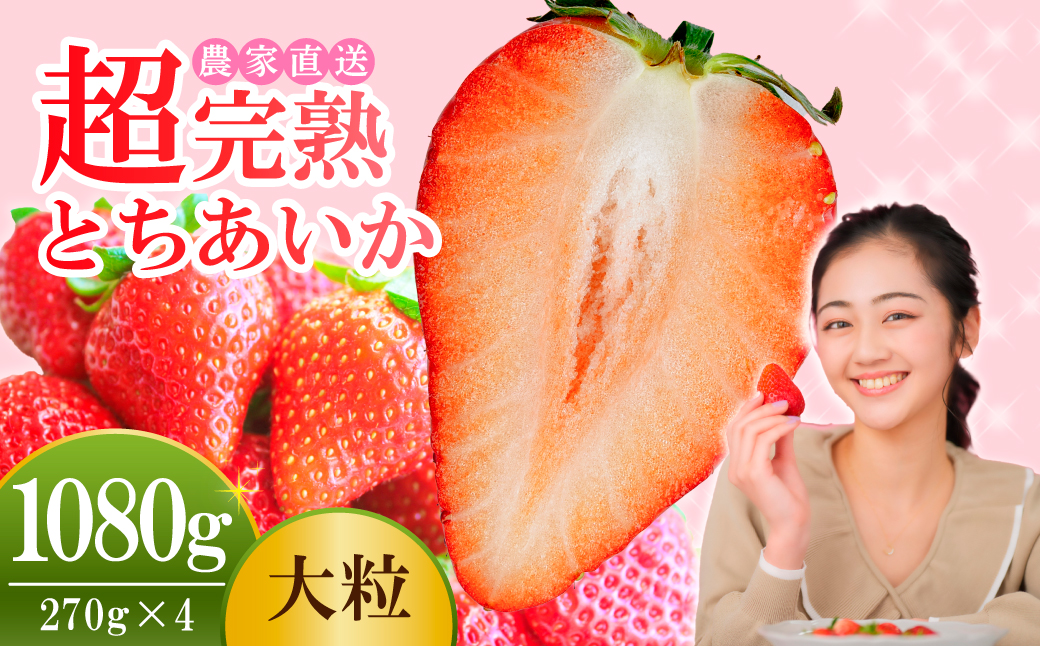 【先行受付：3月以降発送】いちご 小島さんちの完熟 とちあいか 大粒 約270g×4パック 合計 約1080g | いちご イチゴ 苺 とちあいか 完熟 大粒 果物 フルーツ くだもの 甘い あまい 産地直送 栃木県産 小島いちご園 栃木県 茂木町