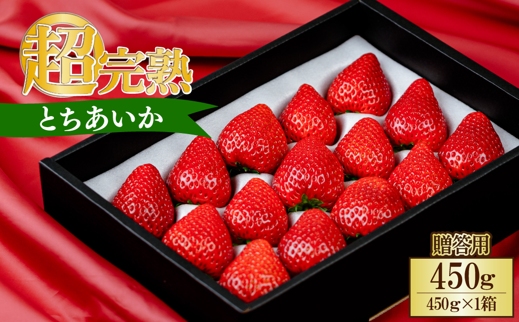 【先行受付：1月中旬以降順次配送】いちご 小島さんちの完熟 とちあいか ギフト 約450g×1パック 合計 約450g | いちご イチゴ 苺 とちあいか 完熟 大粒 果物 フルーツ 贈答 ギフト くだもの あまい 甘い 産地直送 栃木県産 小島いちご園 栃木県 茂木町