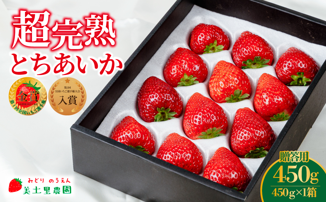 【先行受付：1月中旬以降発送】いちご「茂木完熟いちご」　美土里農園の朝採れ とちあいか ギフト 450g×1箱 | いちご イチゴ 苺 とちあいか 完熟 甘い あまい 果物 フルーツ 贈答 ギフト プレゼント 美土里農園 栃木県 茂木町
