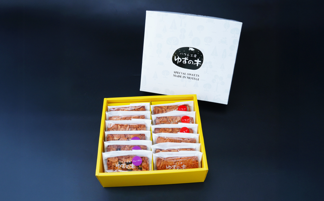 フロランタン 茂木町産米粉100% 12個 セット | 米粉 コシヒカリ 手土産 お土産 ギフト プレゼント ナッツ クッキー キャラメル 焼き菓子 常温 焼菓子 いちご ブルーベリー グルテンフリー コーヒー バター アーモンド もてぎプラザ 栃木県 茂木町