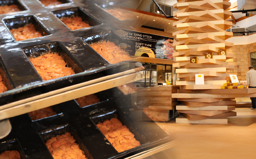 フロランタン 茂木町産米粉100% 12個 セット | 米粉 コシヒカリ 手土産 お土産 ギフト プレゼント ナッツ クッキー キャラメル 焼き菓子 常温 焼菓子 いちご ブルーベリー グルテンフリー コーヒー バター アーモンド もてぎプラザ 栃木県 茂木町