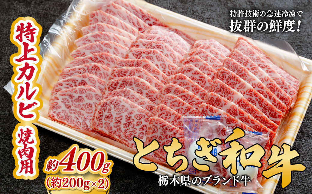 とちぎ和牛の特上カルビ 焼肉用 400g（200g×2）【栃木県共通返礼品】 |  牛肉 肉 お肉 カルビ 特上 バラ肉 焼肉 産地直送 国産 国産牛 和牛 赤身 霜降り 希少 旨味 旨み 熟成 急速冷凍 テクニカン テクニカン社 スキンパック 真空パック 真空包装 コトラミートカルチャ 栃木県 茂木町
