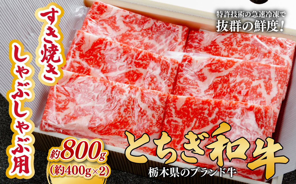 とちぎ和牛のすき焼き・しゃぶしゃぶ用 800g（400g×2）【栃木県共通返礼品】 |  牛肉 肉 お肉 すき焼き しゃぶしゃぶ ロース リブロース 肩ロース 産地直送 国産 国産牛 和牛 赤身 霜降り 希少 旨味 旨み 熟成 急速冷凍 コトラミートカルチャ 栃木県 茂木町