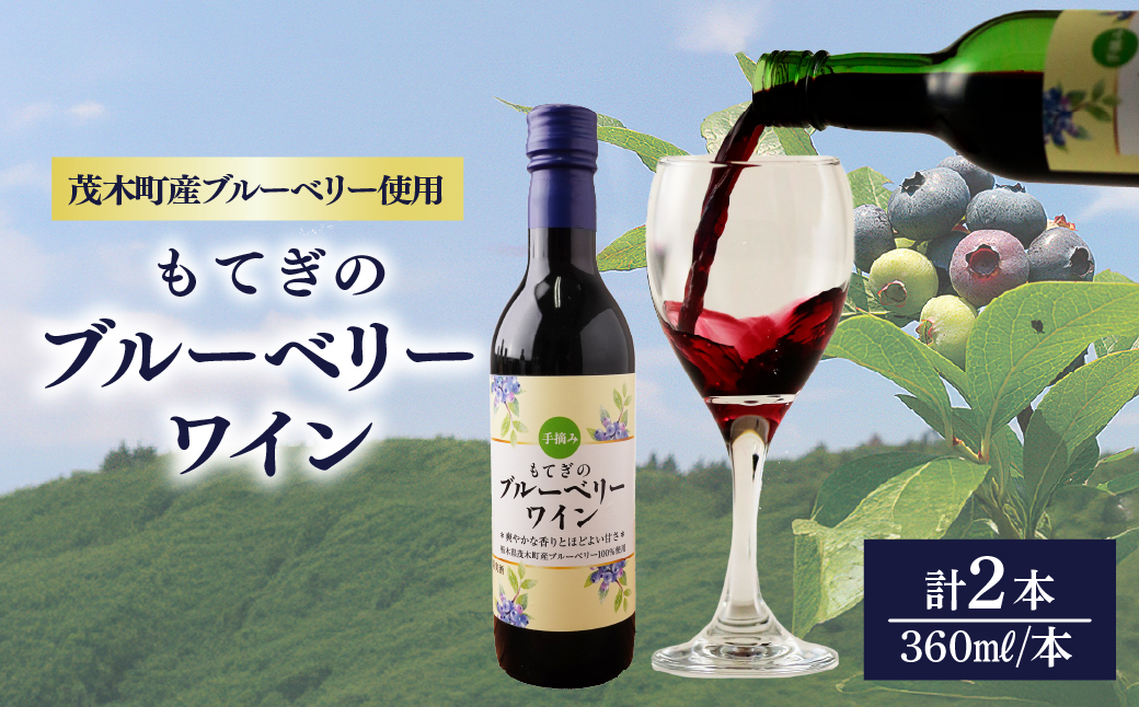 茂木産ブルーベリーを使用した　ブルーベリーワイン360ml×2本セット | ワイン ブルーベリー  赤ワイン フルーツワイン フルーツ フルーティー お酒 酒 アルコール7% お土産 プレゼント ギフト 贈り物 地元産 手摘み 収穫 果実 果汁 発酵 晩酌 家飲み もてぎプラザ 栃木県 茂木町
