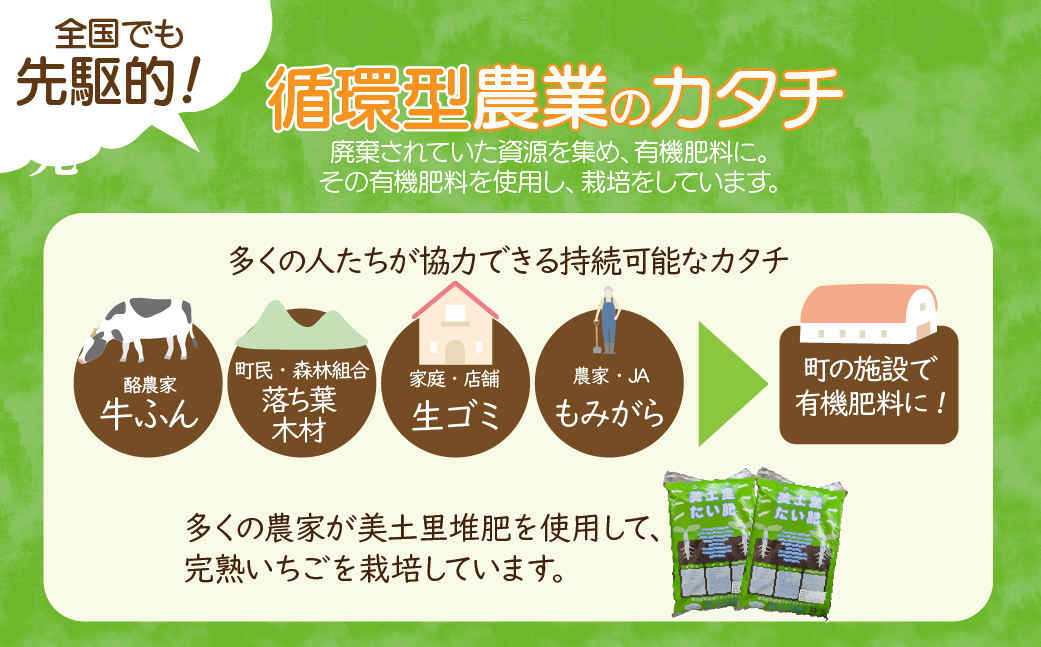 【先行受付：3月以降発送】いちご 「茂木完熟いちご」　美土里農園の朝採れ とちあいか ギフト 450g × 2箱 合計900g  | いちご イチゴ 苺 とちあいか 完熟 果物 フルーツ 美土里農園 栃木県 茂木町
