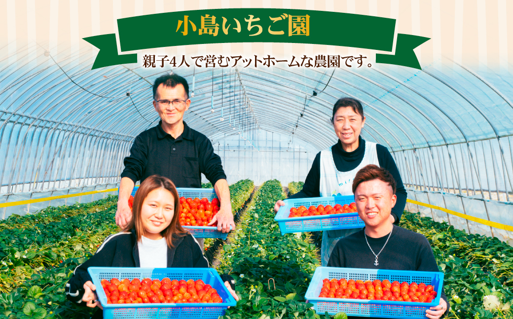 【先行受付：1月中旬以降発送】＜3回定期便＞いちご 小島さんちの完熟 とちあいか レギュラーサイズ 約270g×4パック 合計 約1080g | いちご イチゴ 苺 とちあいか 完熟 大粒 果物 フルーツ くだもの あまい 甘い 産地直送 栃木県産 小島いちご園 栃木県 茂木町