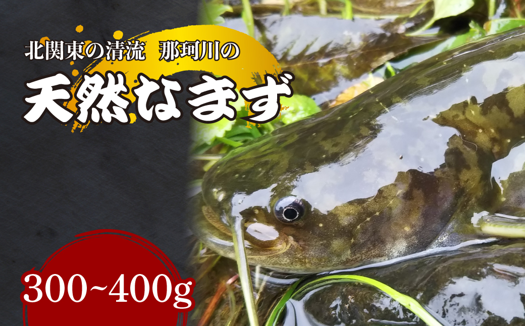 天然なまず(切り身) 北関東の清流「那珂川産」 300g〜400g 真空冷凍 | 天然 鯰 ナマズ 鮮魚 新鮮 北関東 清流 天ぷら から揚げ 味噌漬け焼き アヒージョ Riverline 栃木県 茂木町