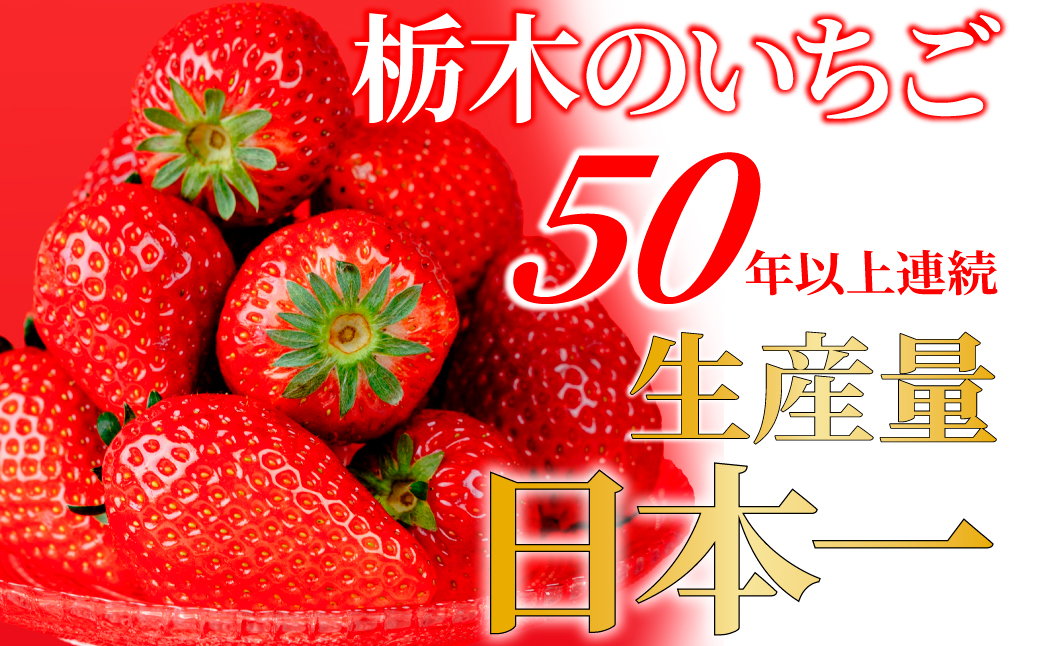 【先行受付：1月中旬以降発送】＜3回定期便＞いちご 小島さんちの完熟 とちあいか レギュラーサイズ 約270g×4パック 合計 約1080g | いちご イチゴ 苺 とちあいか 完熟 大粒 果物 フルーツ くだもの あまい 甘い 産地直送 栃木県産 小島いちご園 栃木県 茂木町